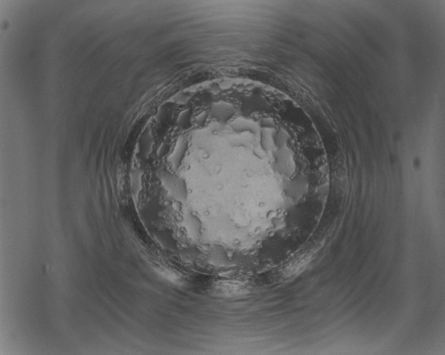 X0000078260139200611031212