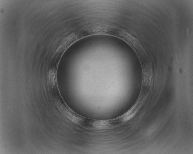 X0000078260142200611031212