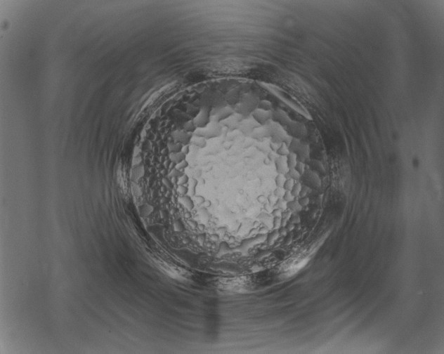 X0000078260143200611031212