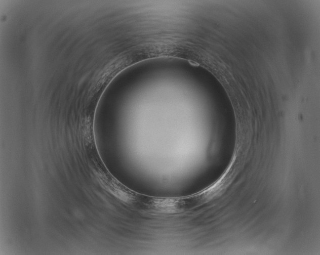 X0000078260144200611031212