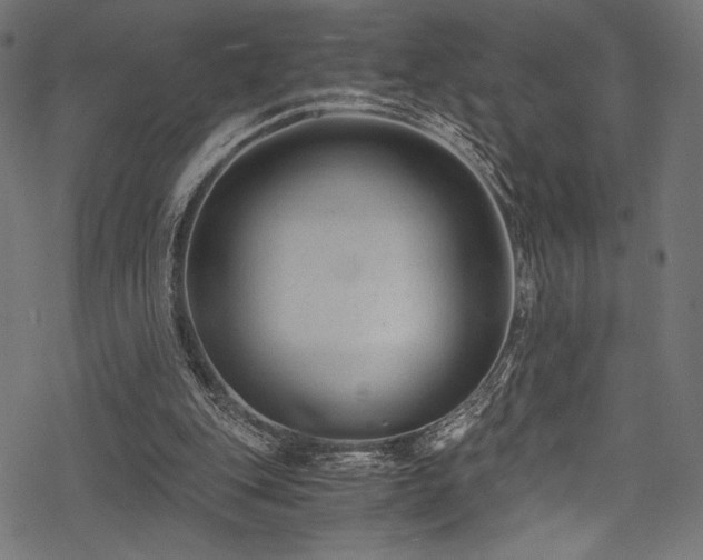 X0000078260151200611031211