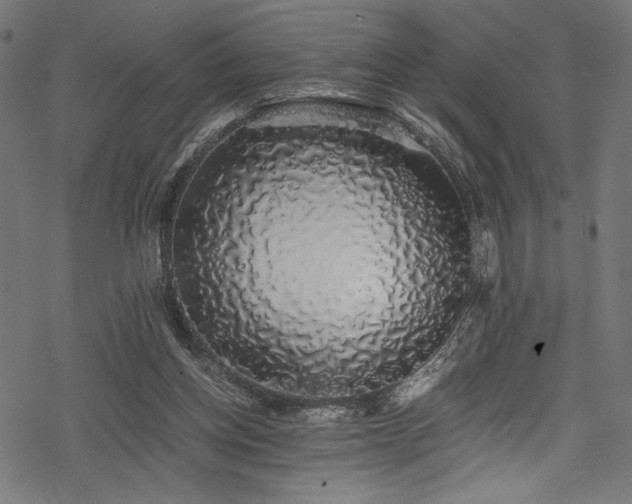 X0000078260158200611031211