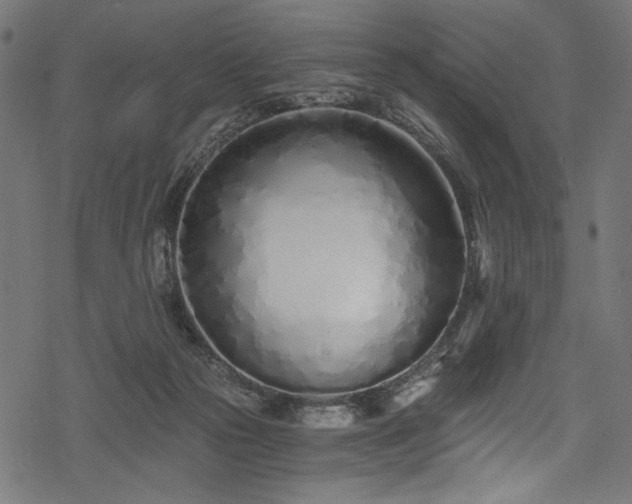X0000078260169200611031211