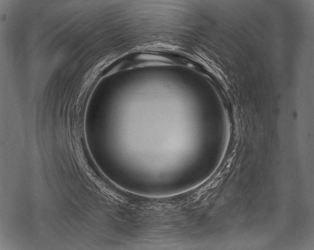 X0000078260193200611031211