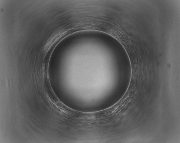 X0000078260194200611031211