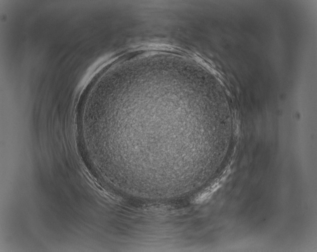 X0000078260199200611031211