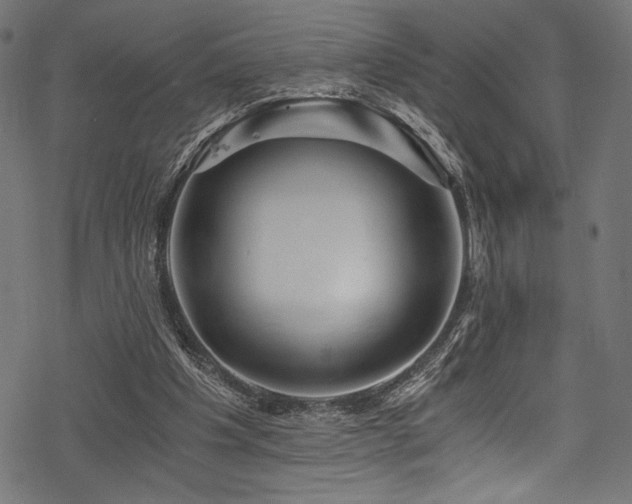 X0000078260201200611031211
