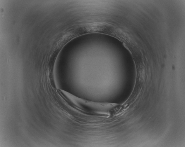 X0000078260219200611031210