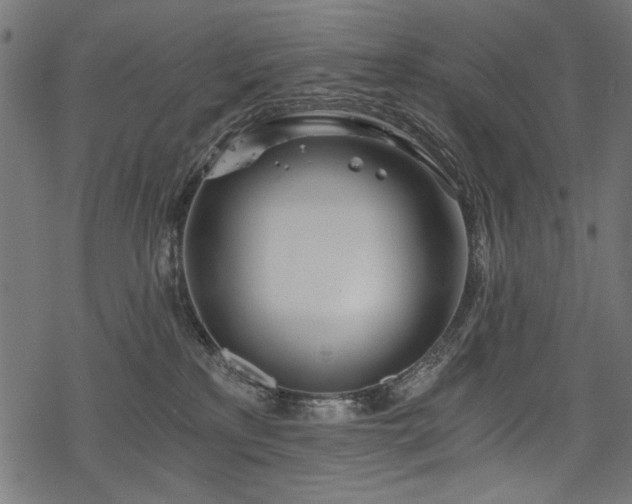 X0000078260233200611031210