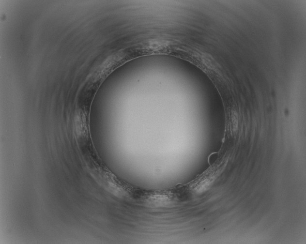 X0000078260236200611031210