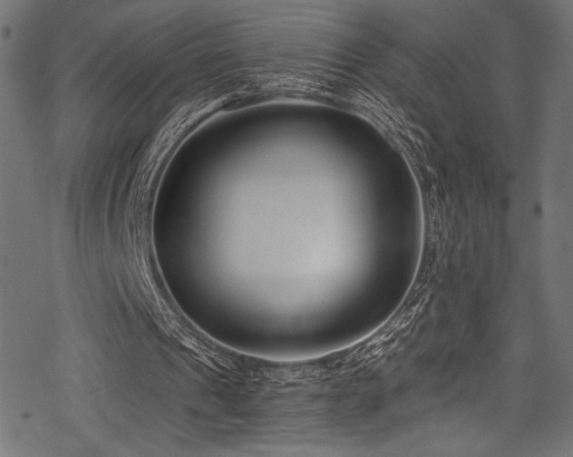X0000078260241200611031209