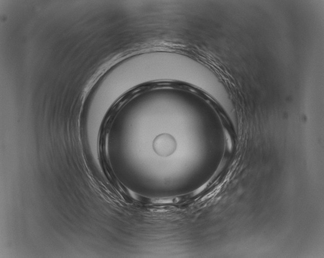 X0000078260244200611031209