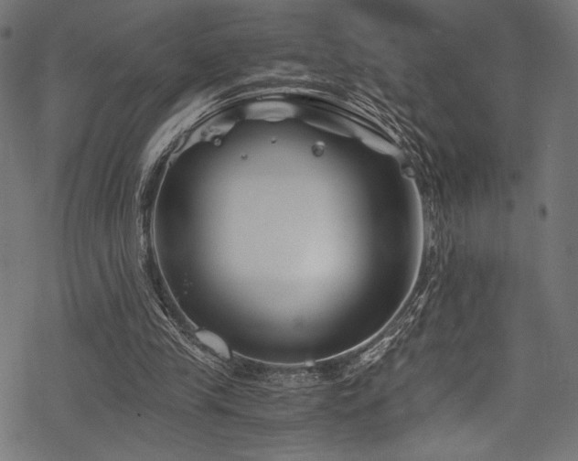 X0000078260245200611031209