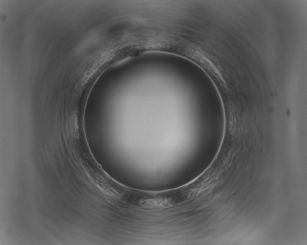 X0000078260251200611031209