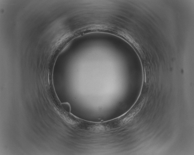 X0000078260253200611031210