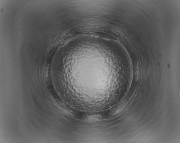 X0000078260268200611031210