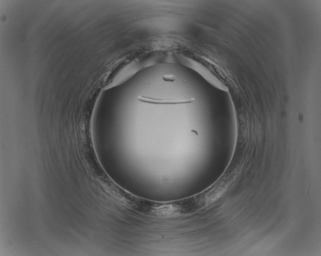 X0000078260269200611031210