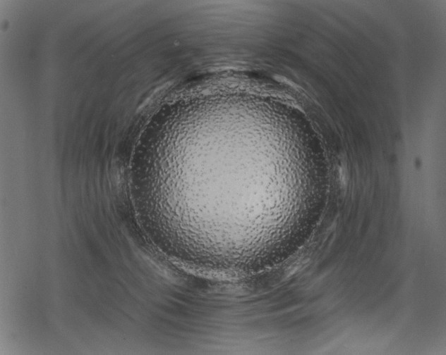 X0000078260276200611031210