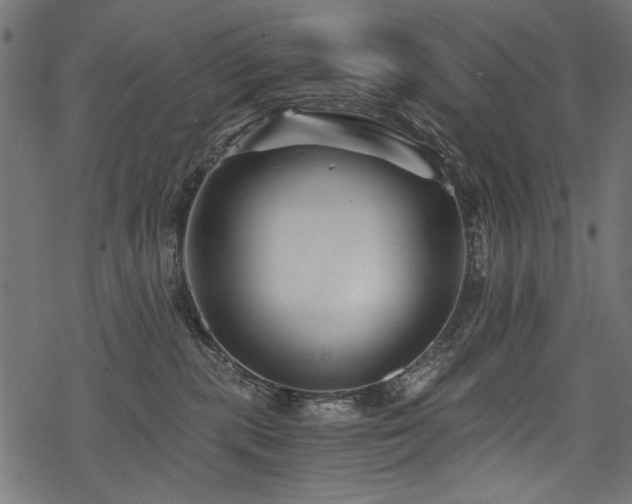 X0000078260283200611031210