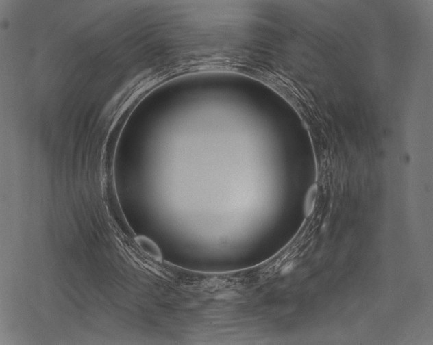 X0000078260290200611031209