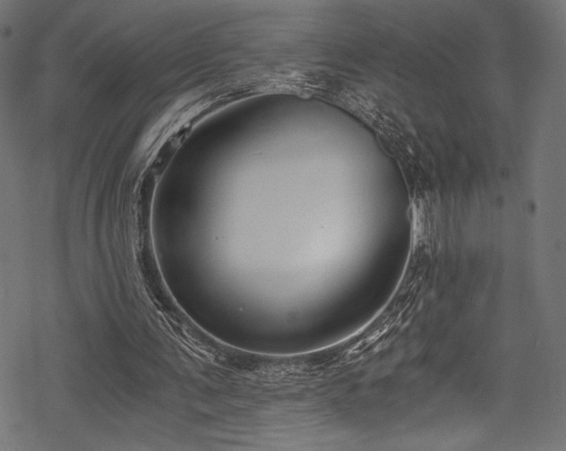 X0000078260291200611031209