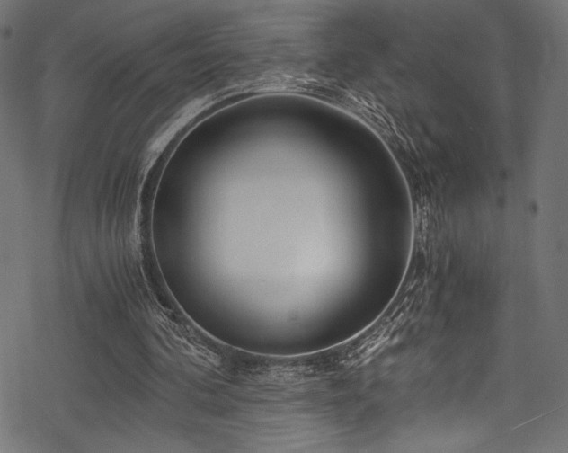 X0000078260292200611031209