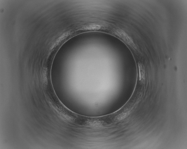 X0000078260300200611031209