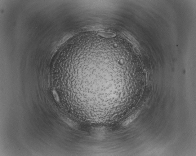 X0000078260301200611031209