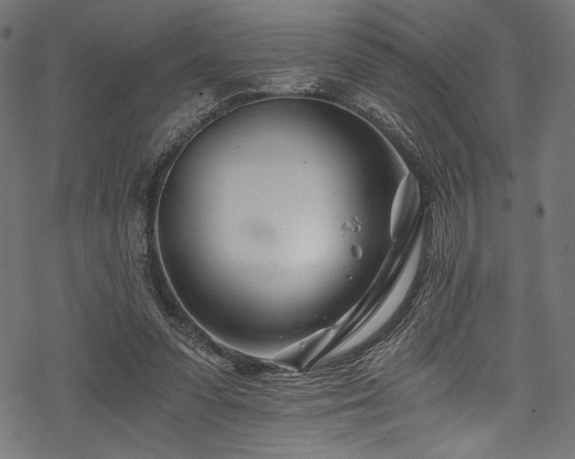 X0000078260303200611031209
