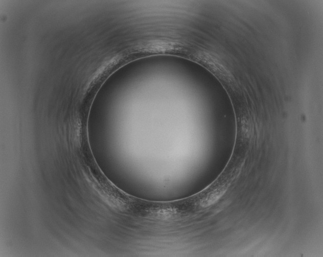 X0000078260304200611031209