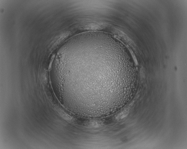 X0000078260305200611031209