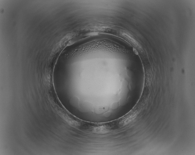 X0000078260309200611031209