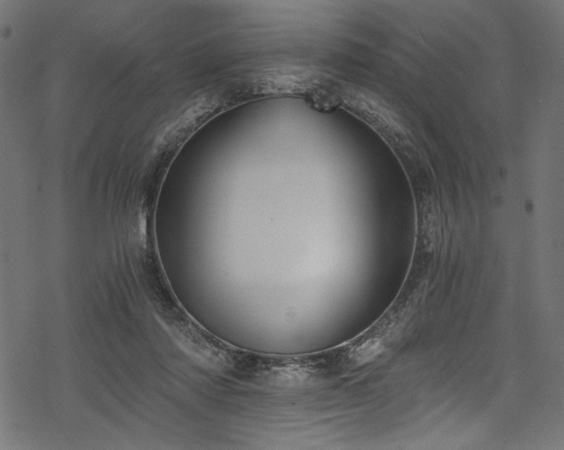 X0000078260310200611031209