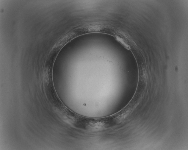 X0000078260311200611031209