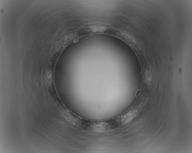 X0000078260321200611031209