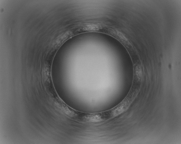 X0000078260322200611031209