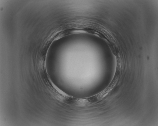 X0000078260333200611031209