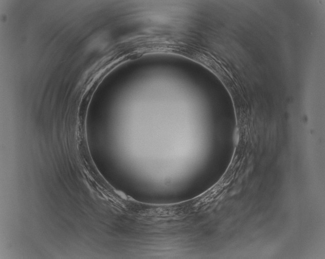 X0000078260338200611031208