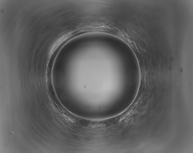 X0000078260340200611031208