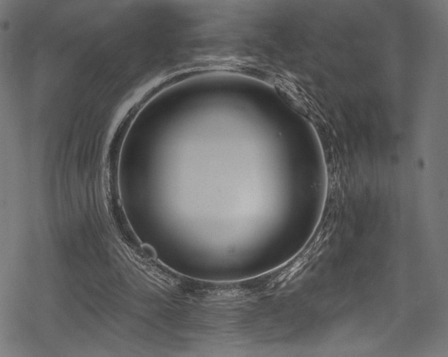 X0000078260342200611031208