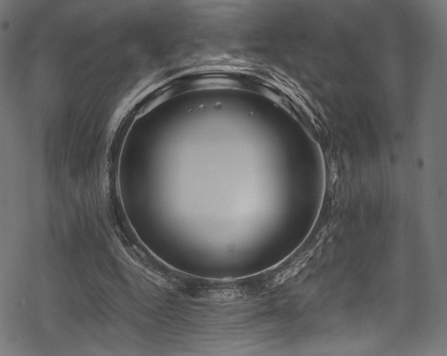 X0000078260344200611031208