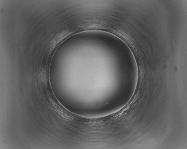 X0000078260345200611031208