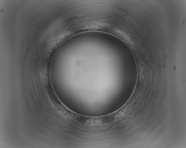 X0000078260354200611031208