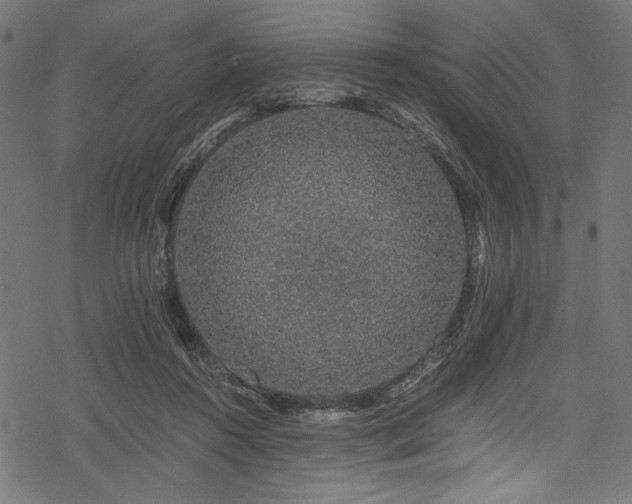 X0000078260360200611031208