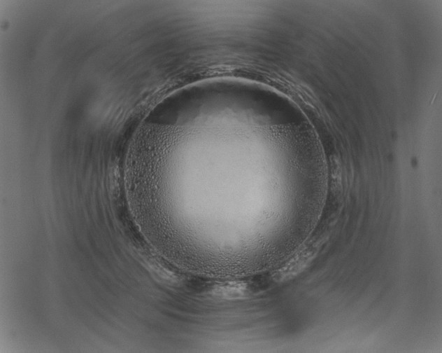 X0000078260369200611031208