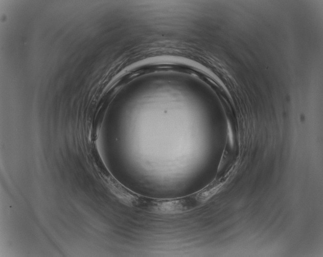 X0000078260382200611031208