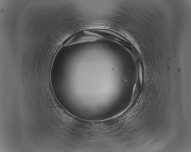 X0000078260385200611031208