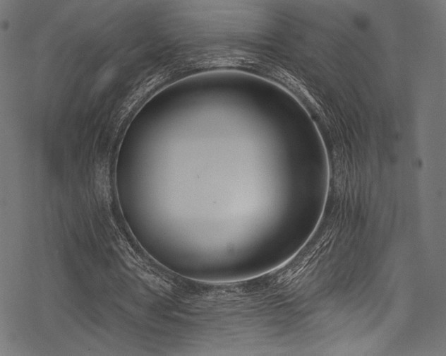 X0000078260386200611031208