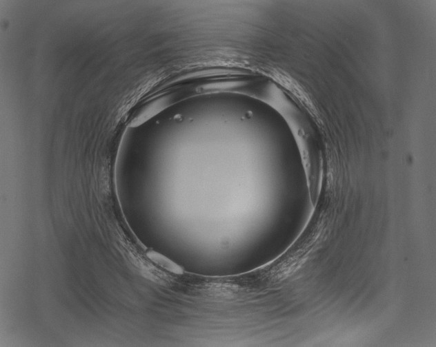 X0000078260393200611031208