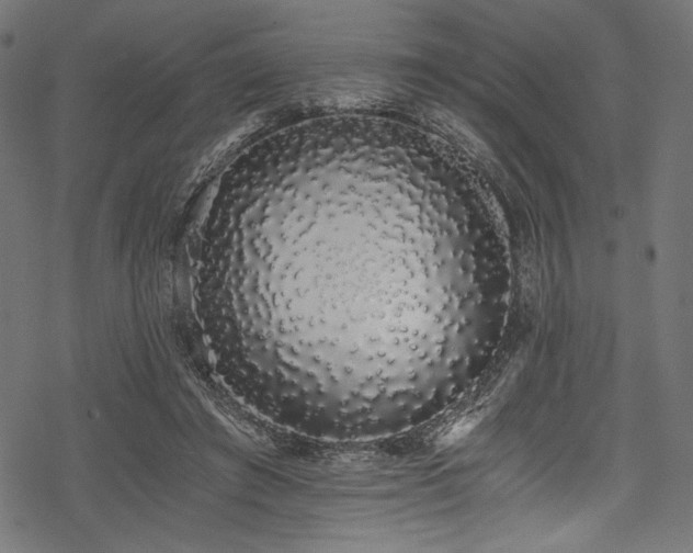 X0000078260401200611031207